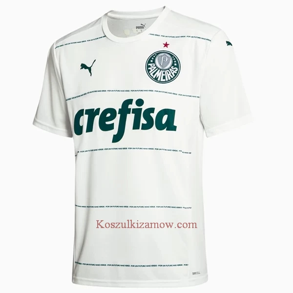 Koszulka Palmeiras 2022-23 Wyjazdowa