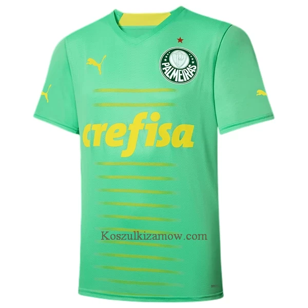 Koszulka Palmeiras 2022-23 Trzecia