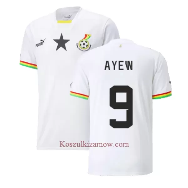 Koszulka Ghana Ayew 9 Jordan MŚ 2022 Domowa