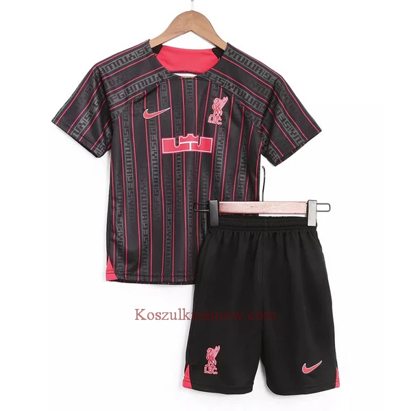 Liverpool X Lebron James Nike Koszulka Treningowa 2023 Dziecięca