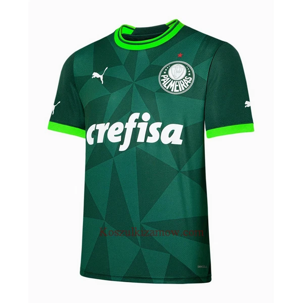 Koszulka Palmeiras 23/24 Domowa