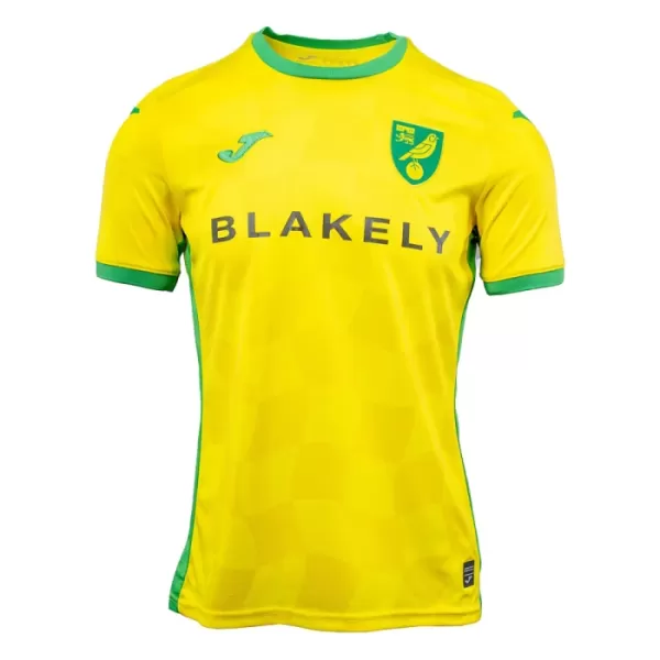 Koszulka Norwich City 24/25 Domowa